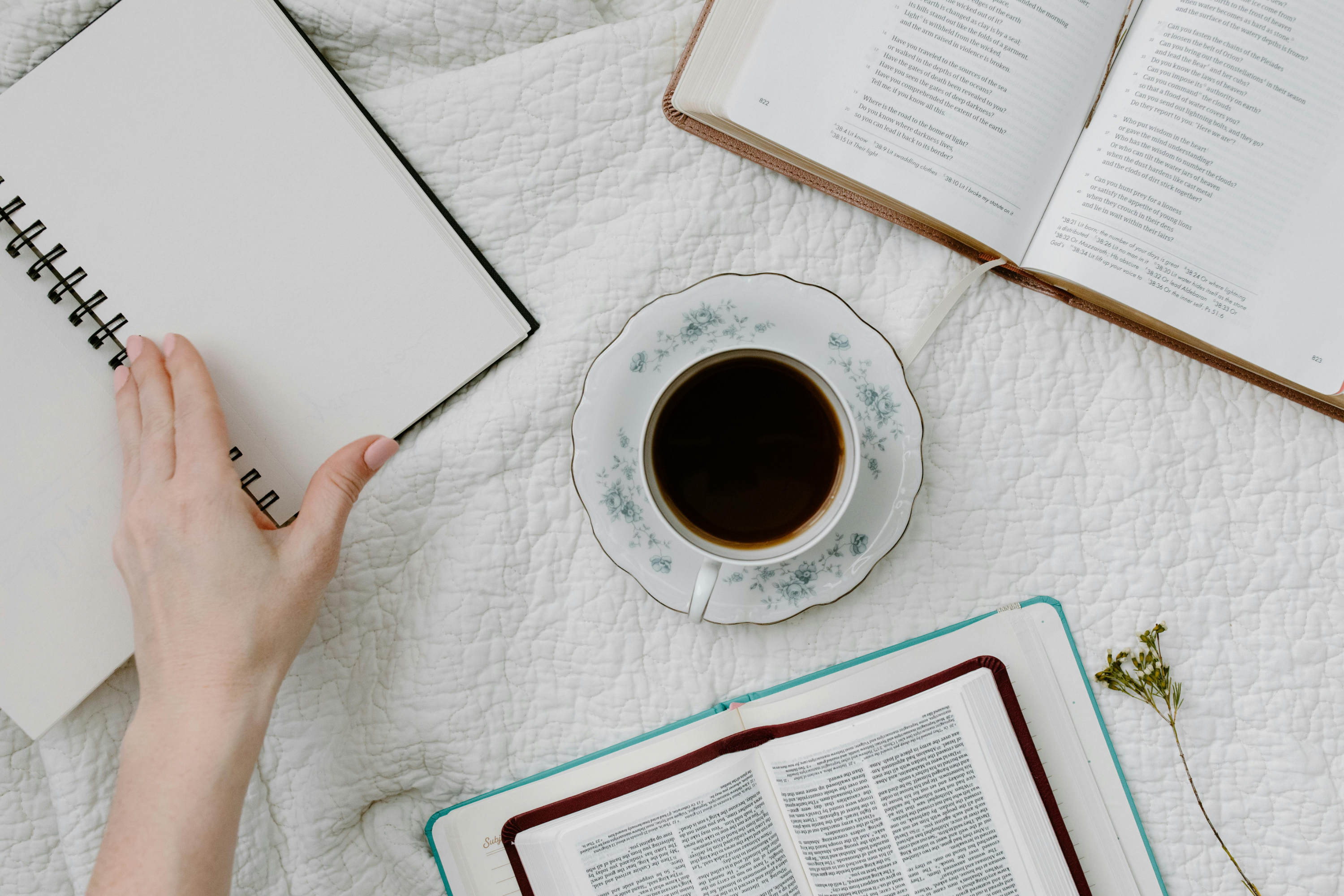 Ben jij je bijbel-lees routine kwijt? Zo pak je de draad weer op